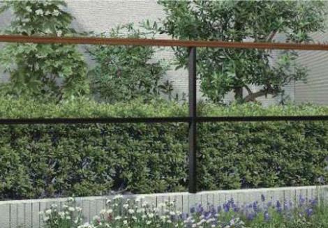 我が家に合う「フェンスと植物」のコーディネート提案