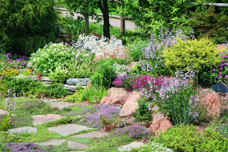 雑草対策にぴったり！草取りの手間を省きながら、庭やエクステリアの魅力をアップできるグランドカバーとは？ | ウチソトスタイル
