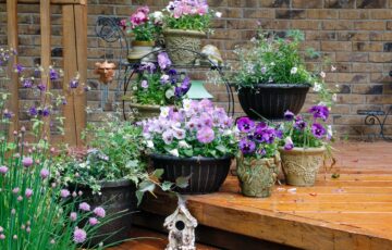 寄せ植えならぬ「寄せ鉢」ガーデニングで、狭い庭やエントランス、リウッドデッキを素敵に彩る