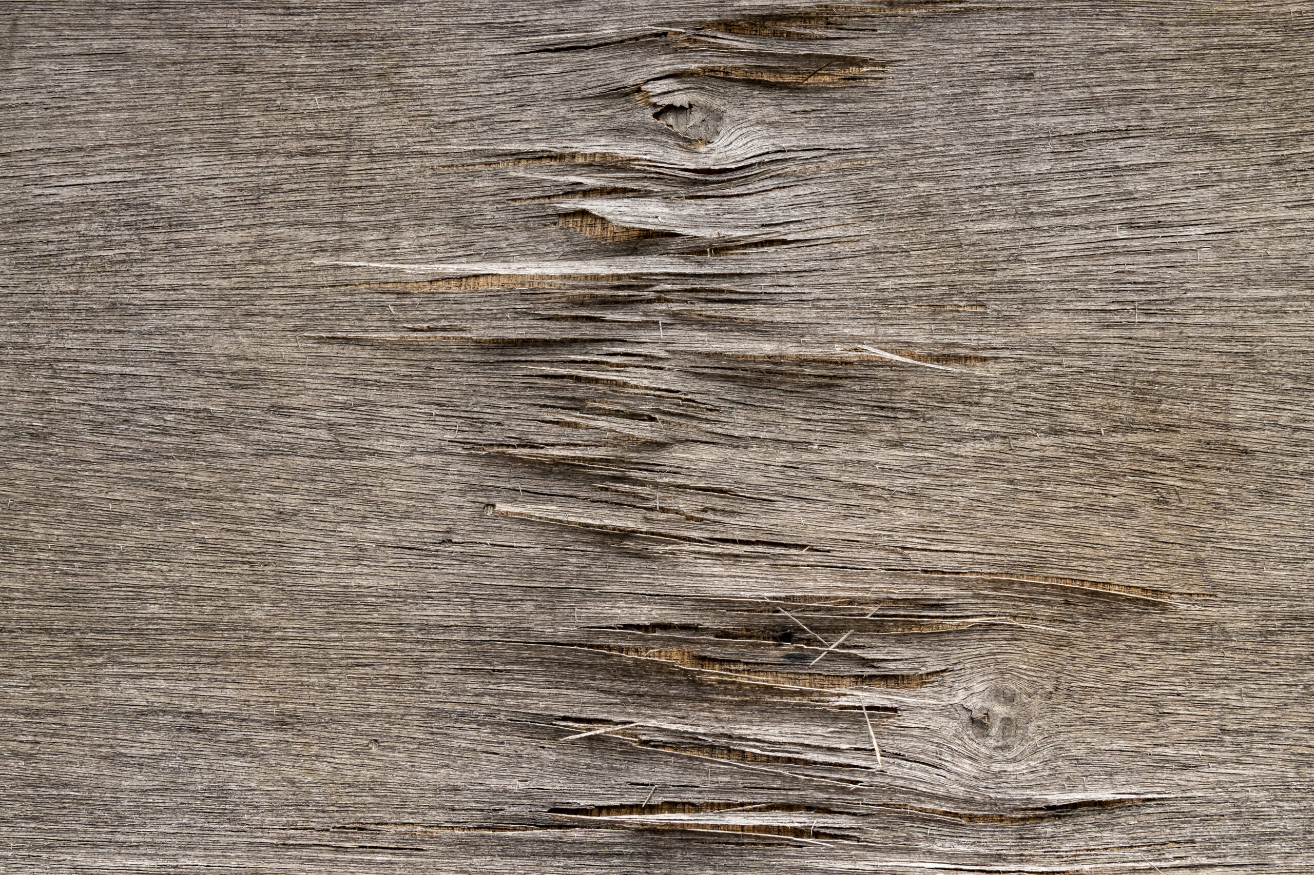 ウッドデッキの劣化の原因とメンテナンス方法を知る。長く使うためには再生木・人工木という選択も。