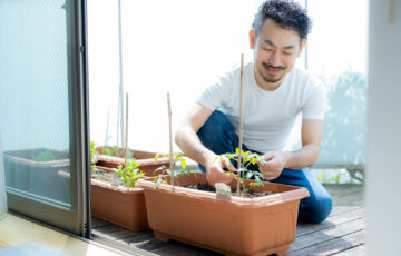 ベランダの家庭菜園で好みの作物を育てよう！家庭菜園の魅力と始め方、注意点を紹介