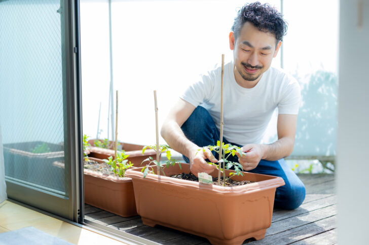 ベランダの家庭菜園で好みの作物を育てよう！家庭菜園の魅力と始め方、注意点を紹介