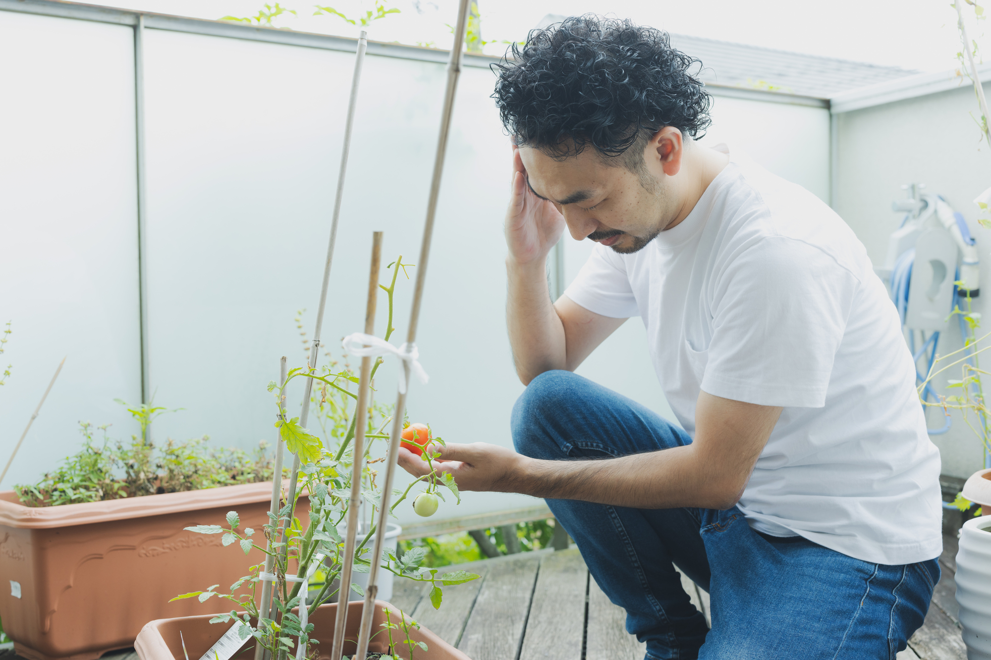 ベランダの家庭菜園で好みの作物を育てよう！家庭菜園の魅力と始め方、注意点を紹介