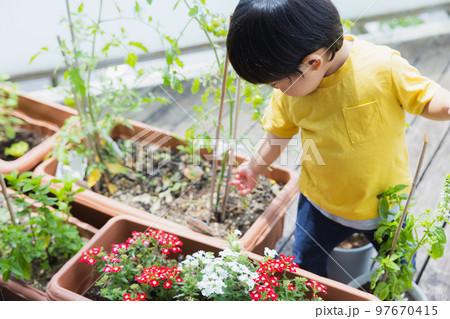 孫が遊びに来る家に!家族が集う庭と暮らしのアイデア 孫が遊びに来る家に!家族が集う庭と暮らしのアイデア
