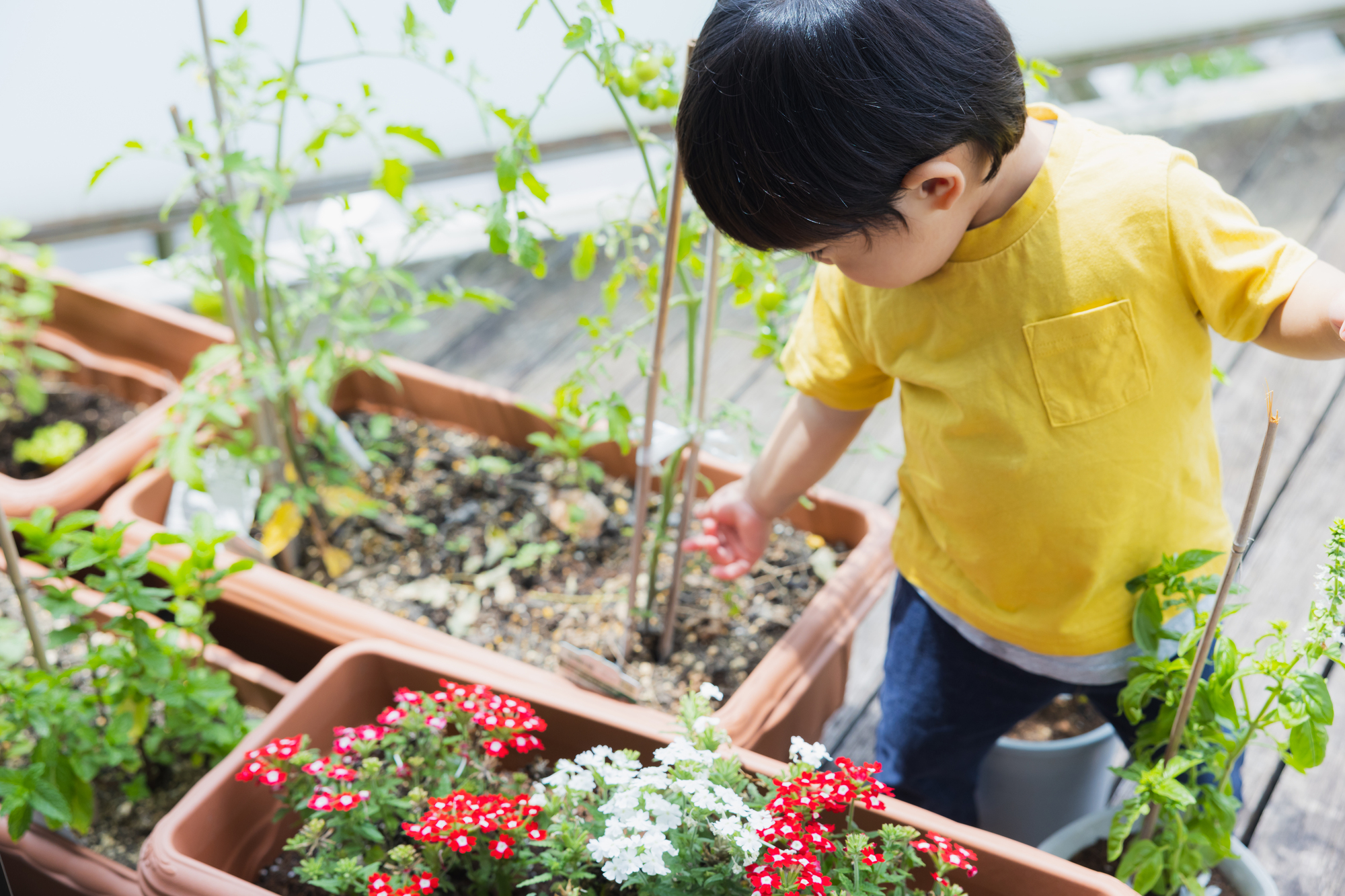 孫が遊びに来る家に!家族が集う庭と暮らしのアイデア 孫が遊びに来る家に!家族が集う庭と暮らしのアイデア