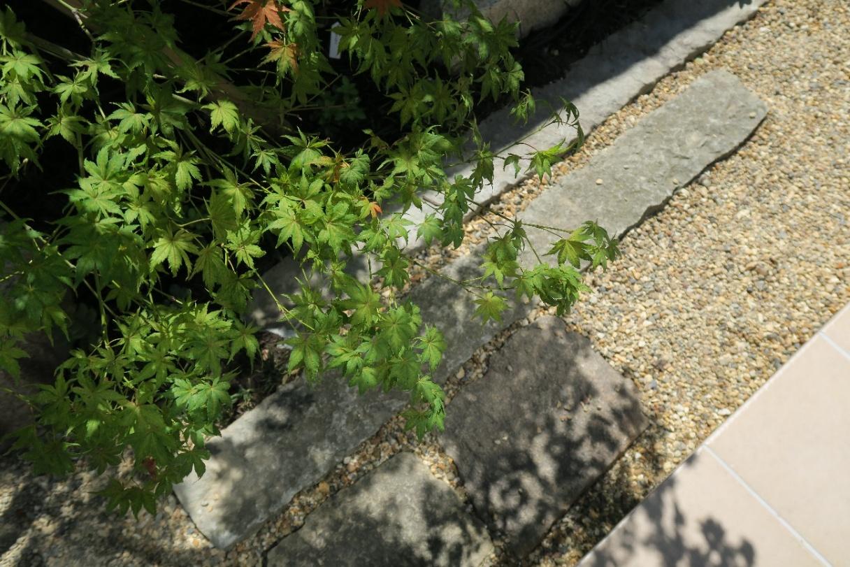 モダンな建物にも調和する、現代風の和の庭デザイン