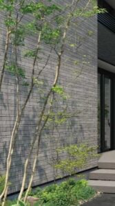 モダンな建物にも調和する、現代風の和の庭デザイン