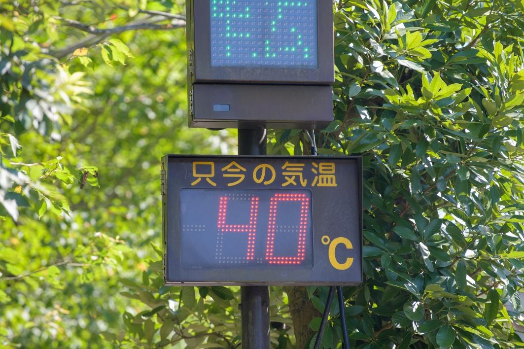 「酷暑日」対策はエアコンだけでは難しい！今から間に合う、家を涼しくする庭やエクステリアの工夫